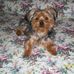 Joan Beyer - Facebook