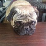 Joanne Uablacker - @joanneuablacker - Instagram
