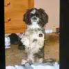 Joanne Blanton - @joanne.blanton - TikTok