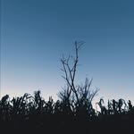 @_JoanBlue - @blockmyl - Instagram