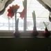 JoAnn Bolen - Facebook