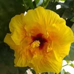 Joan Borg - @borg6873 - Instagram
