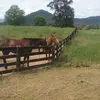 Joan Borger - @joan.borger - TikTok