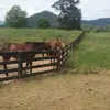 Joan Borger - @joan.borger - TikTok
