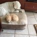 Joann Bounds Miles - Facebook