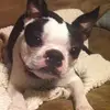 joannbowser961 - @joannbowser961 - TikTok