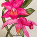 Joan Bratcher Watercolors - Facebook