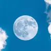 joanbrest793 - @joanbrest793 - TikTok