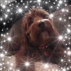 Joan Brett - Facebook