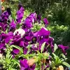 joanbronson246 - @joanbronson246 - TikTok