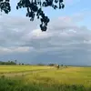 ธนกฤต โจ้นน้ำอ่าง - @thanghornjoanbroughtarg - TikTok