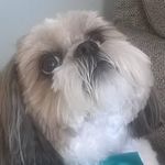 Joan Brough - @brough.joan - Instagram