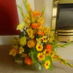 Joan Broughton - @broughton.joan - Instagram