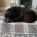 Joan Brownhill - Facebook