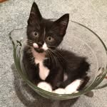 Joan Browning - @joanbrowning29 - Instagram