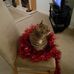 Joan Bryden - Facebook