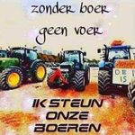 Joan Buitenhuis - @joanbuitenhuis - Instagram