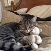 Joanne Burrow - @joanne.burrow - TikTok