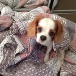 Joan De La Hunty - @joan_buttons - Instagram