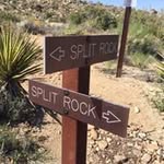 Joan Cady - @jcadylady - Instagram