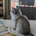 Jo Caffey - Facebook