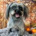 JoAnn Carey - Facebook