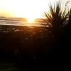 Joan Cain - @joancain - TikTok