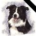Joan Calder - Facebook