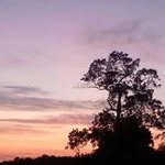 Joan Calloway - @joan21874 - Instagram