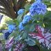 Joan Calloway - Facebook