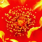 joan - @joancanadas - Instagram