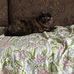 Joan Cannings - Facebook