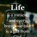 Joan Cannon - Facebook