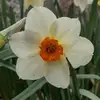 Joan Cardinal288 - @joancardinal1976 - TikTok