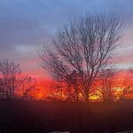 Joan carnahan - @carnahan7999 - Instagram
