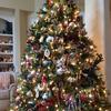 Joann Carney - @joann.carney - TikTok