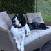 Joan Carrier - Facebook