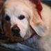 Joan Caudill - Facebook