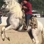 Joan El Caudillo - @joan_el_caudillo - Instagram