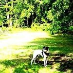 Joan Cauley - @joancauley - Instagram