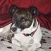 Joan Chaplin - Facebook