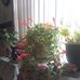 Joanne Coady - Facebook