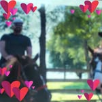 Joan Colvin - @jcolvingardenpaths - Instagram
