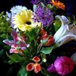 Joan Comerford - @comerfordjoan - Instagram