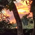 joancomo - @jacm66 - Instagram