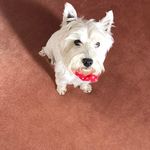 Joan Coombs - @coombs1593 - Instagram