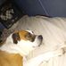 JoAnn Cope - Facebook