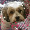 joanmccormack340 - @joanmccormack340 - TikTok