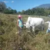 Joan Corrales - @joan.corrales1 - TikTok