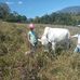 Joan Corrales - Facebook
